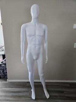 Excellent Condition Male Mannequin