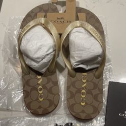 Coach Sandals