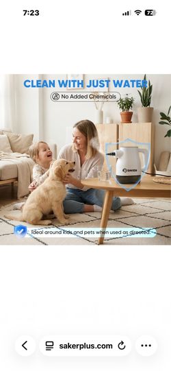 Steam cleaner