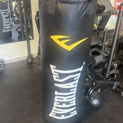 Everlast punching Bag 