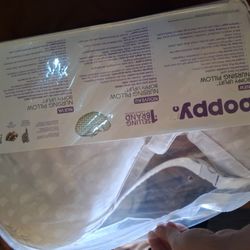 Boppy Pillow 