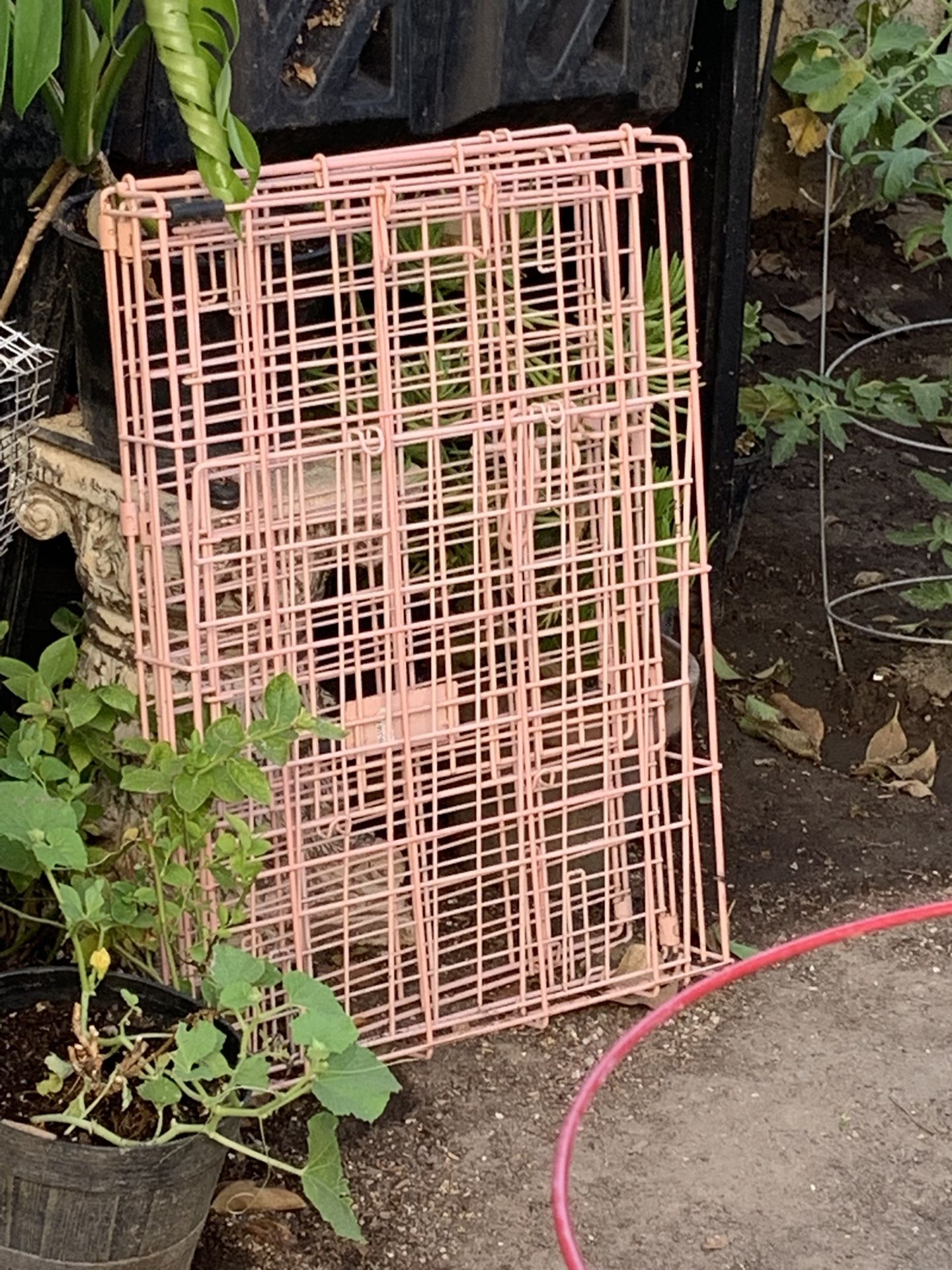 Small Cage