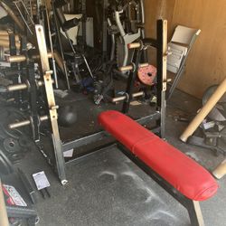 Flex Fitness Bench Press For Weights (bench Only)