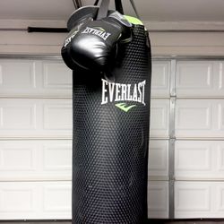 Everlast 100 lb Punching Bag w/ Gloves 