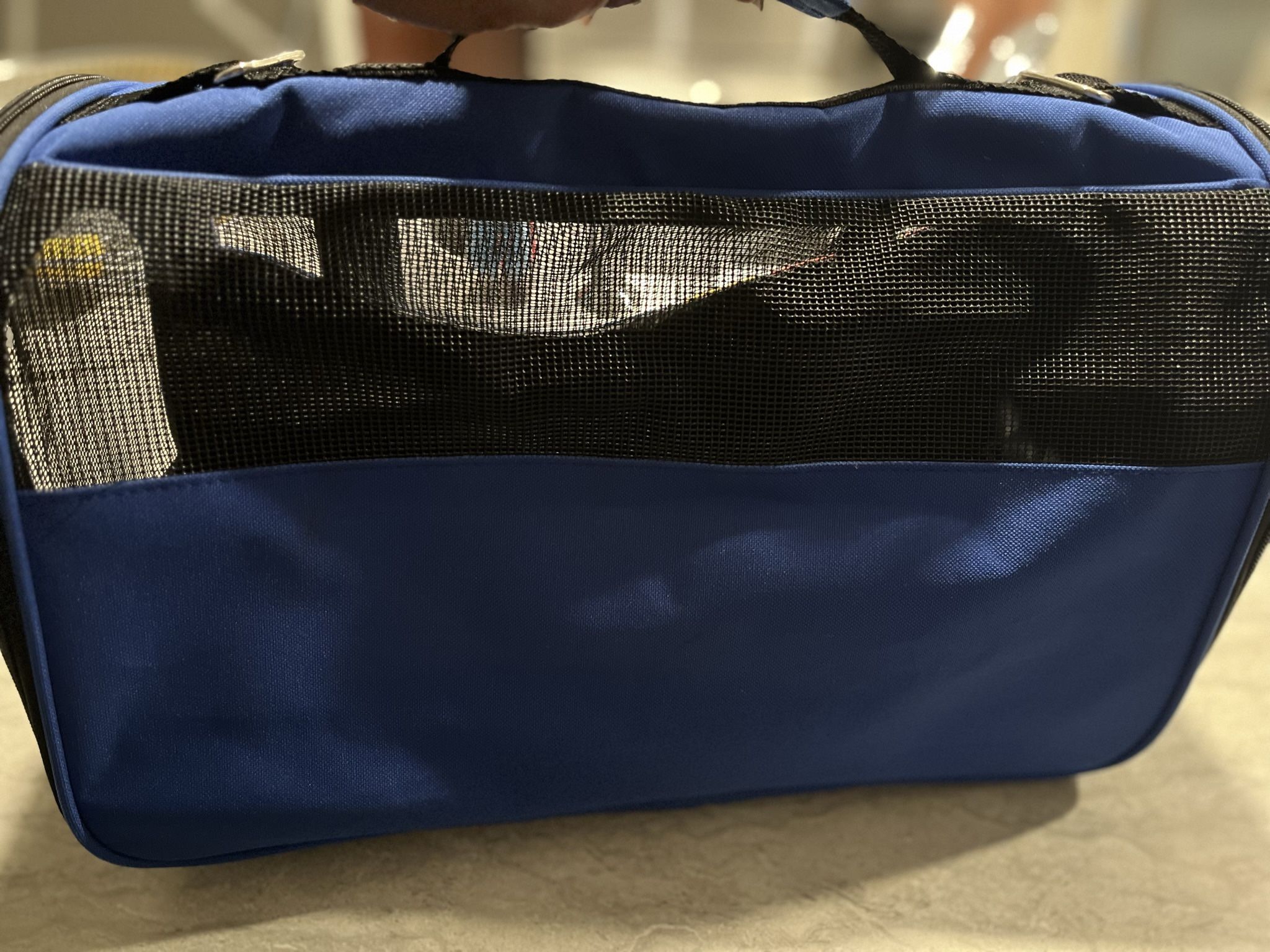 Travel Dog Bag