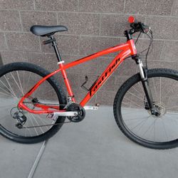 29 Inch Fast Fish Downhill Racing Bike