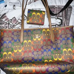 Multicolored Tote And wallet