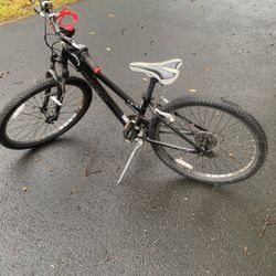Treck Skye Bike 13 “