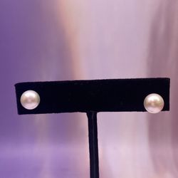 14K Pearl Studs Earring 
