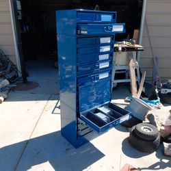 Storage Cabinet With 14 Sliding Drawers With Conpartaments 