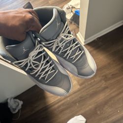 Jordan 12s 