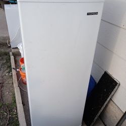 Stand Up Freezer