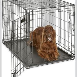 Dog Crate – Foldable Wire Kennel (Great Condition)
