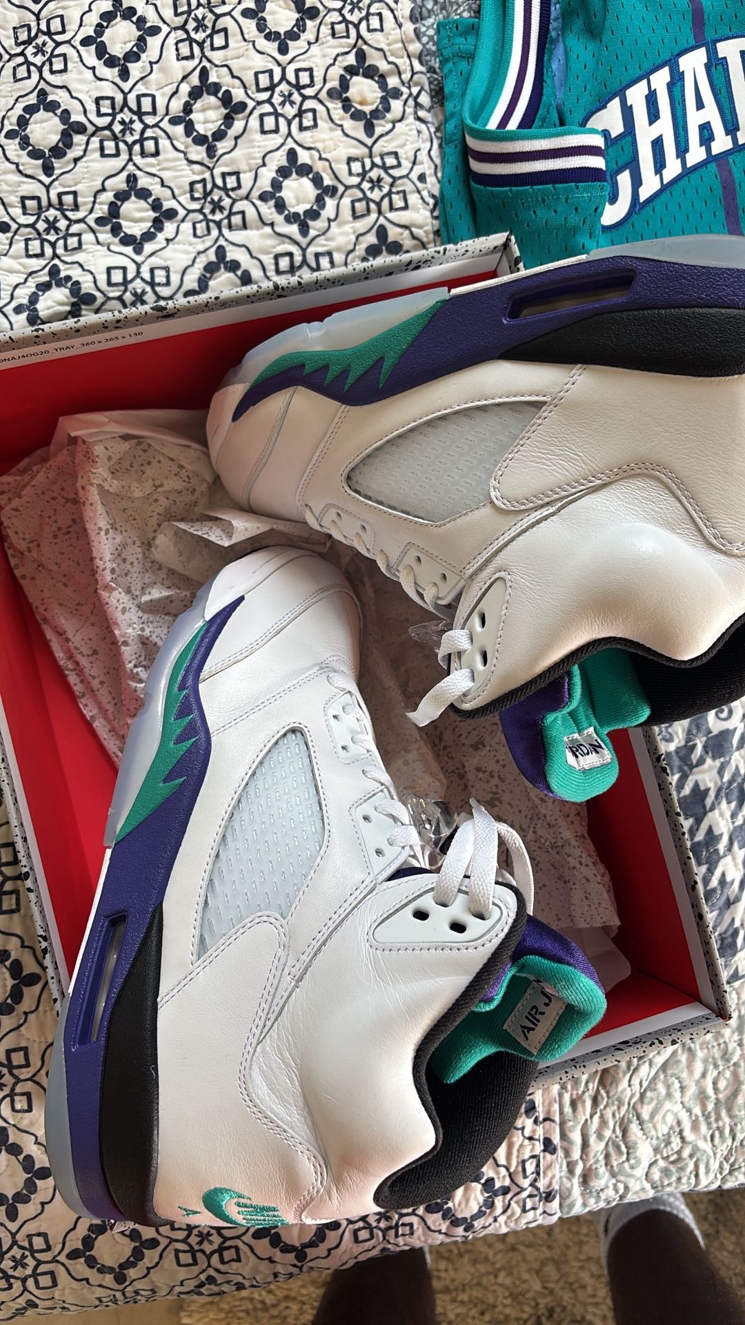 Jordan Grape 5