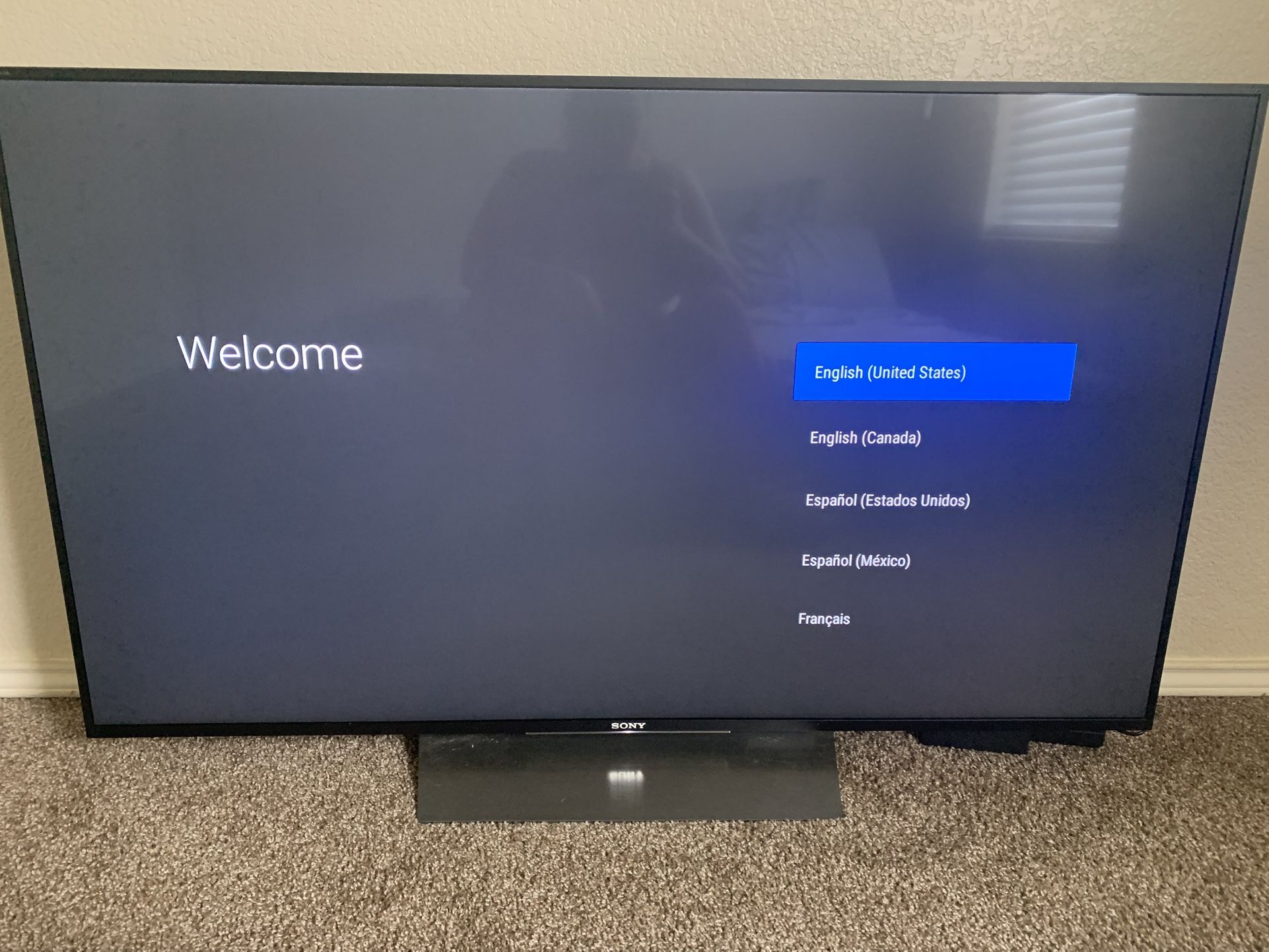 Sony 50 Inch