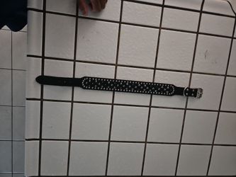 Dog Collar Large