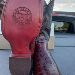 Crocodile Belly 🐊 Boots 