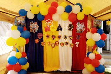 Paw patrol back drop