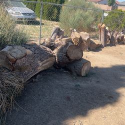 Big Wood Logs For Sale