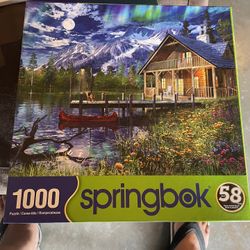 Springbok Puzzle 1000 Number 58