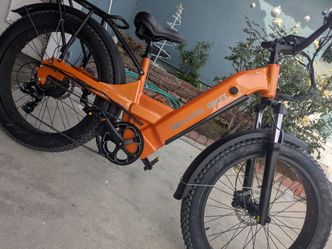 Electric Bicycle