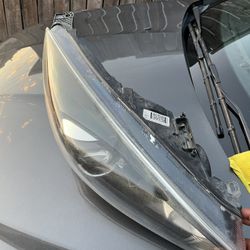 Focus St/rs Headlight Right Side