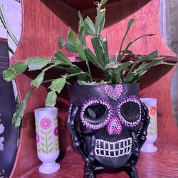Skull plant pot planter 7” X 5” Day If The Dead Día de los Muertos