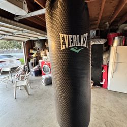 Everlast Boxing Bag