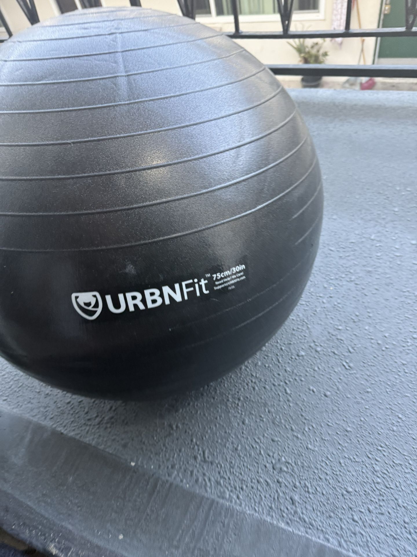 Exercise Ball
