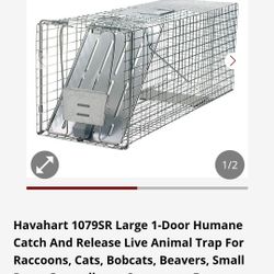 Animal Trap