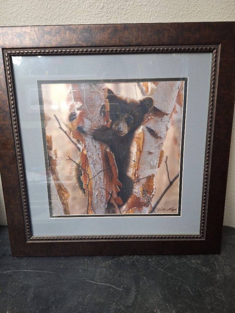 Very Nice Bear Print 