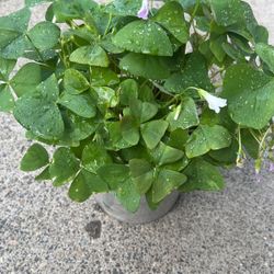 15$