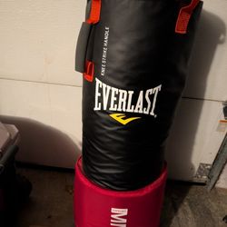 Everlast Omnistrike MMA Training Heavy Bag