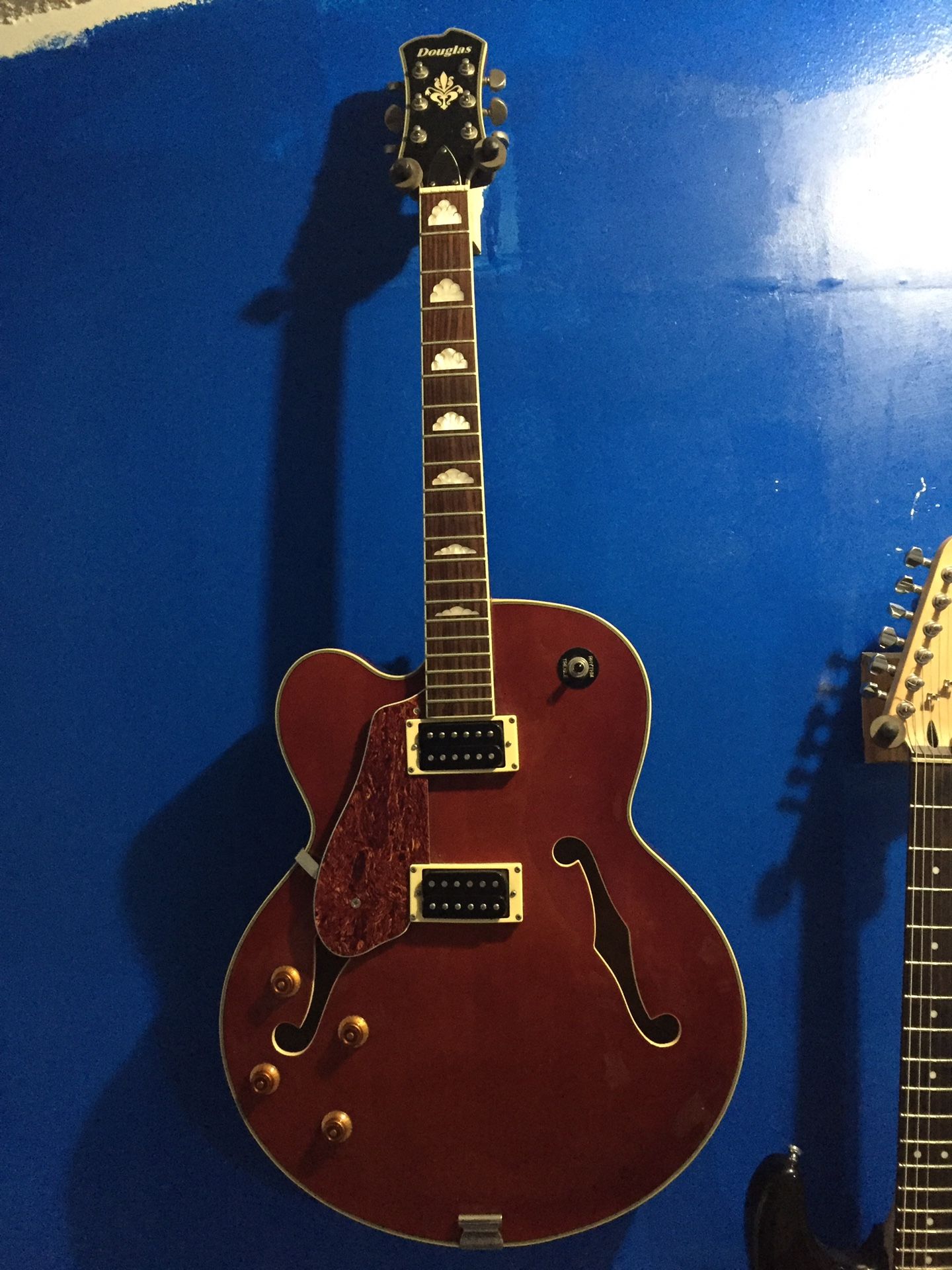 Douglas WNO 630 Hollow Body Guitar