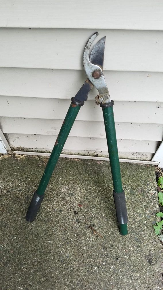Hedge shears
