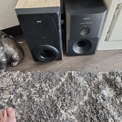 2 Bass Speakers