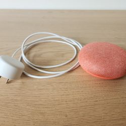 Google Home Mini, Coral Pink