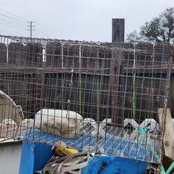 Small animal cage Free