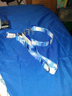 Dog leash and collar