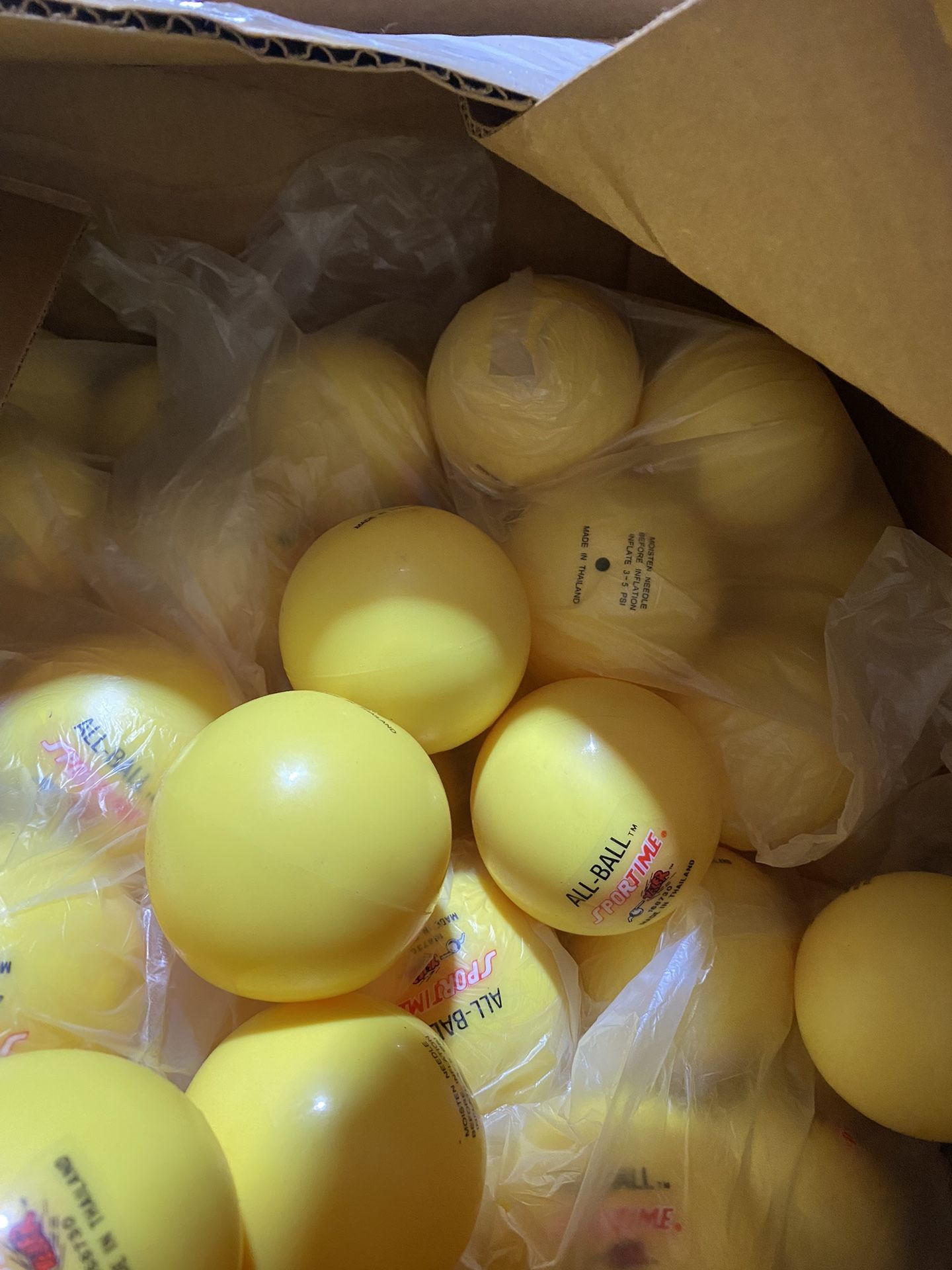 Wall Ball And Wiffle Ball