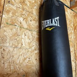Everlast Punching Bag