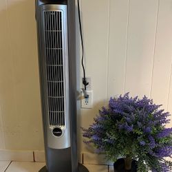 Lasko Wind Curve 42” 3-Speed Remote Control $59