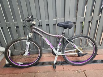 Genesis whirlwind bike