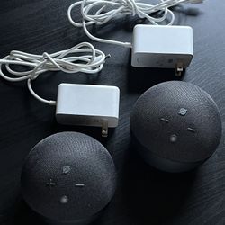 Echo Dot