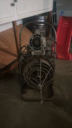 Electric snake