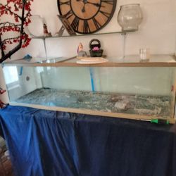 125 Gallon Reptile Tank
