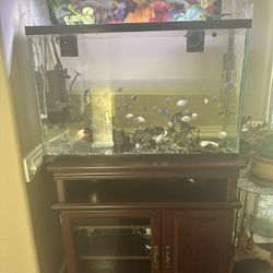 30-Gallon Fish Tank with Wooden Cabinet + Equipment– Complete Set!