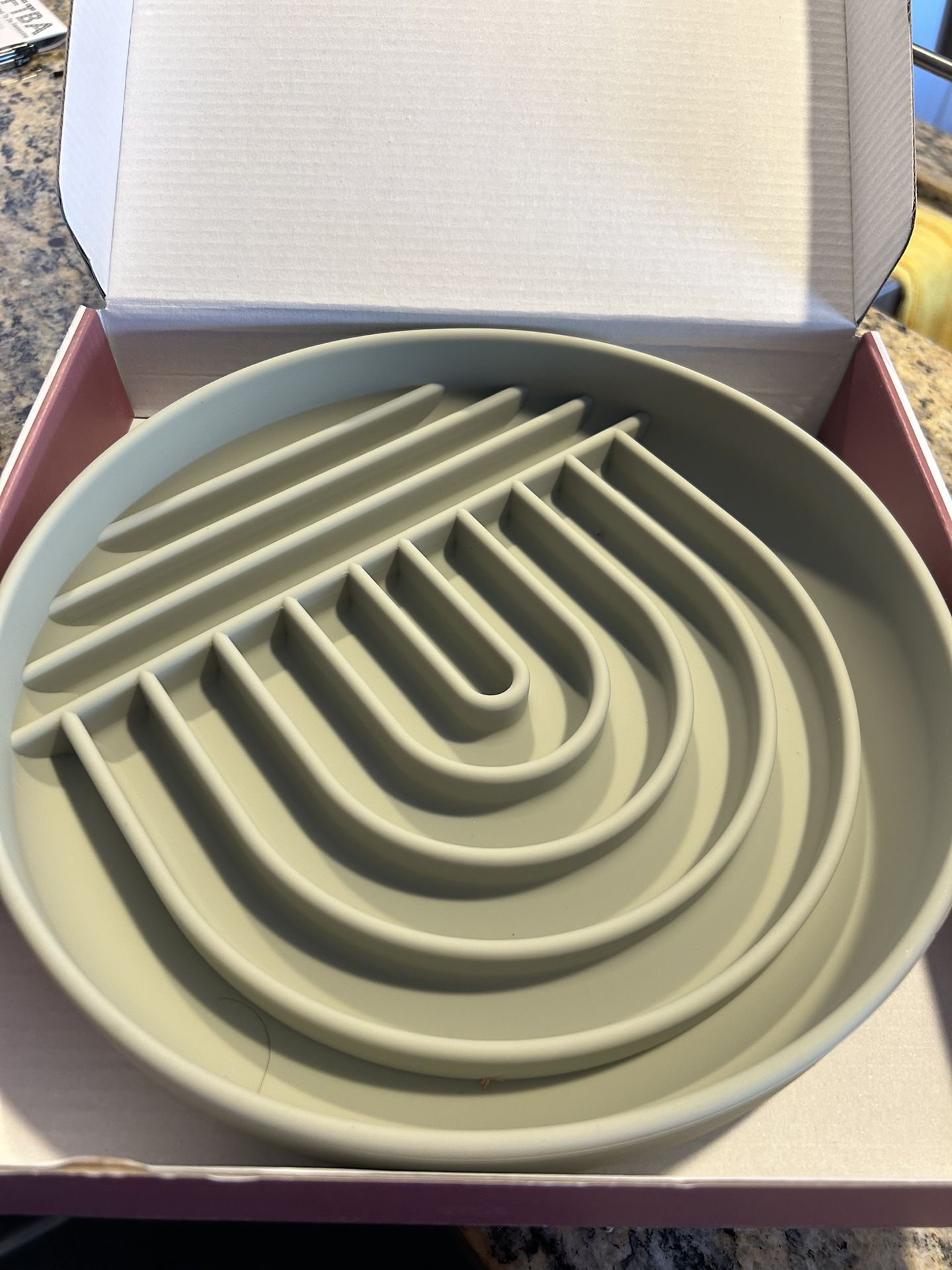 Slow Feeding Dog Bowl