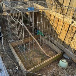 Chicken Pens, Gamefowl Pens, Dog Kennels 