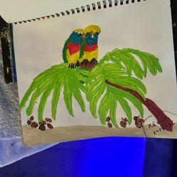 Two Of Them By My Pool